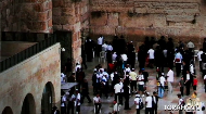 
	Fascinating Facts: Exploring the Myths and Mysteries of Judaism

	Does Judaism believe in guardian angels? Who wrote the handwriting on the wall? A fun course in Jewish cultural literacy, full of surprising facts, myths, and mysteries surrounding Jewish tradition and practice