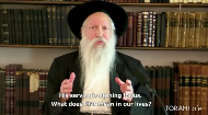 
	In this short clip, Rabbi Ginsburgh discusses the categories of people required to bring sin offerings, who are listed in the beginning of the weekly Torah.

	These categories are understood to represent various dimensions within ourselves. By exploring our inner High Priest, Supreme Court, and king, we can rectify the unconscious origin of our sins.