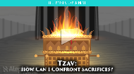 
	How can I, a modern day reader of the Torah, understand and relate to the concept of animal sacrifices, Korbanot? The ritual seems completely antiquated and barbaric to us today. And yet, Korbanot were a staple of Israel's service to God