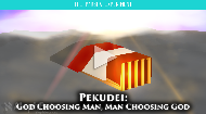 
	Parshat Pekudei (Exodus 38:21-40:38) is the conclusion of the book of Exodus. Exodus is known for Israel’s escape from Egypt, the sea splitting, the Ten Commandments, the Golden Calf, and the Tabernacle