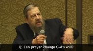 
	Note: Rabbi Schochet’s remarks are brief address a particular question by a member of the audience. For a more detailed explanation of this topic, please watch Rabbi Schochet's full class on this topic: The Dynamics of Prayer. The words "yehi ratson", "May it be Your will", clearly assume that we are able to evoke a new Divine will through our prayers